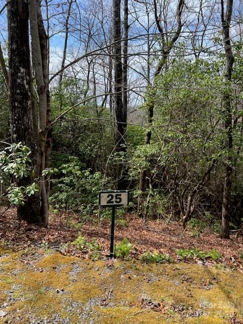 25 Sweetwater Ridge Road Property Photo 2