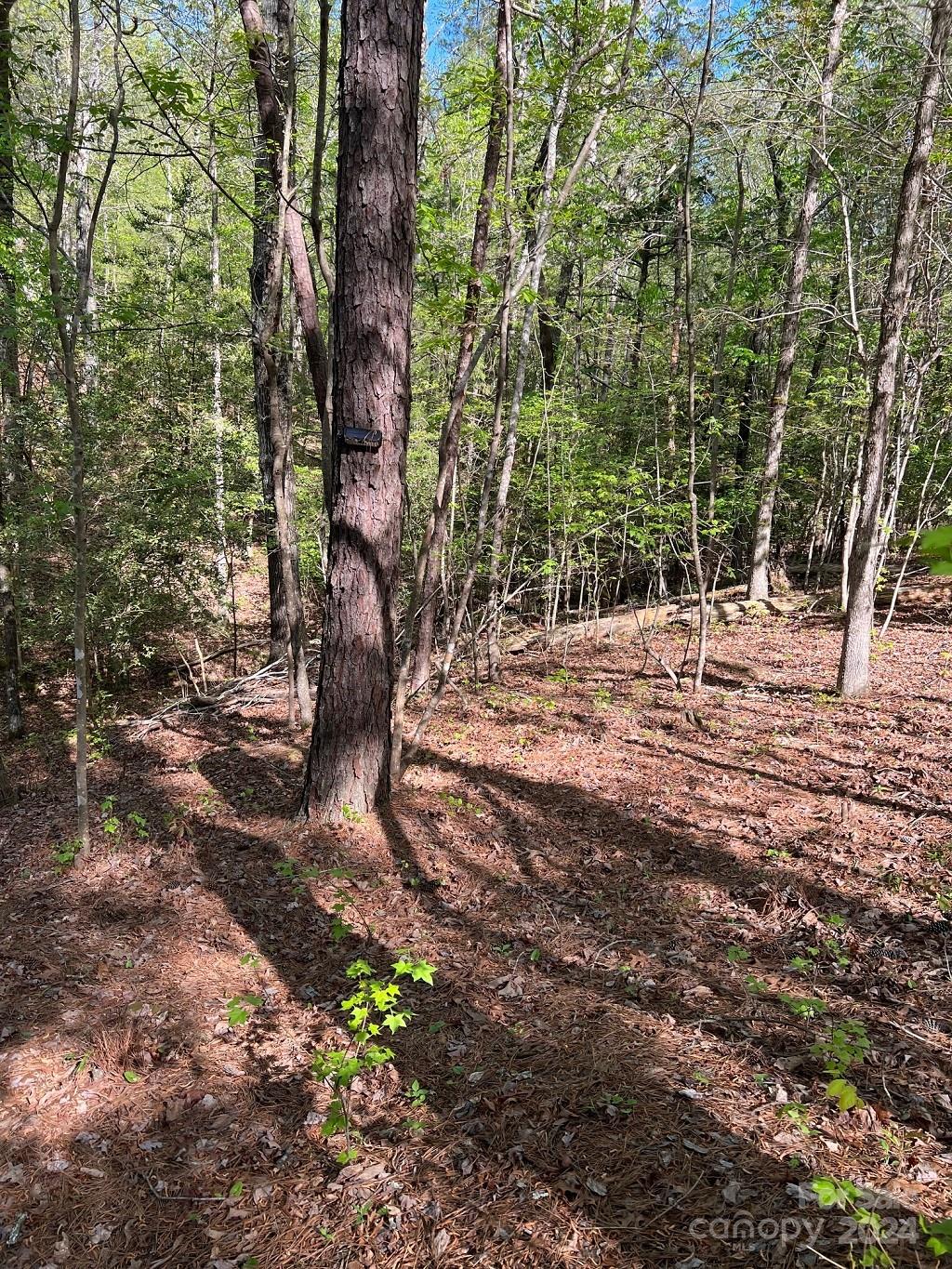 00 Sanctuary Lane Property Photo 8