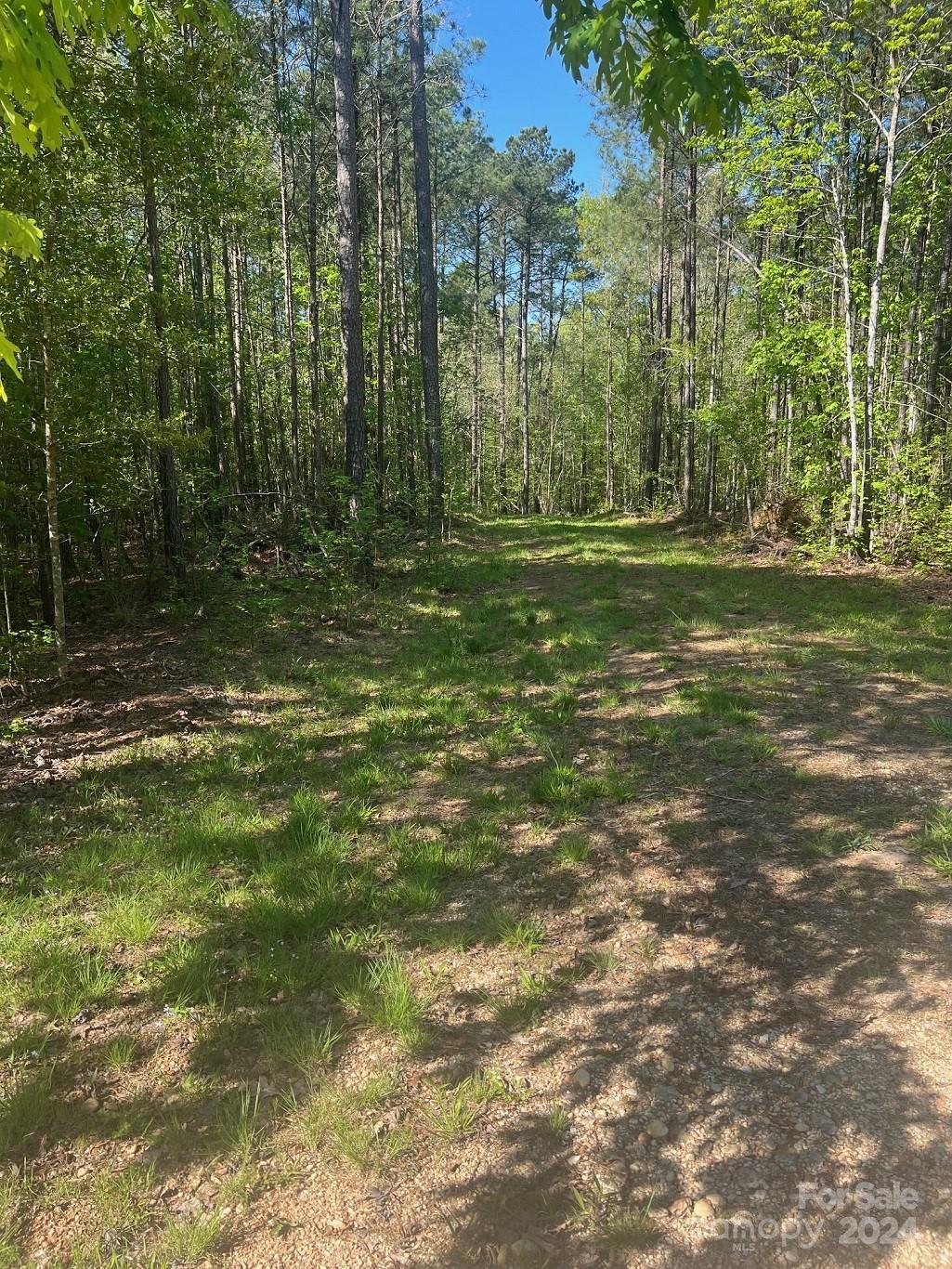 00 Sanctuary Lane Property Photo 16