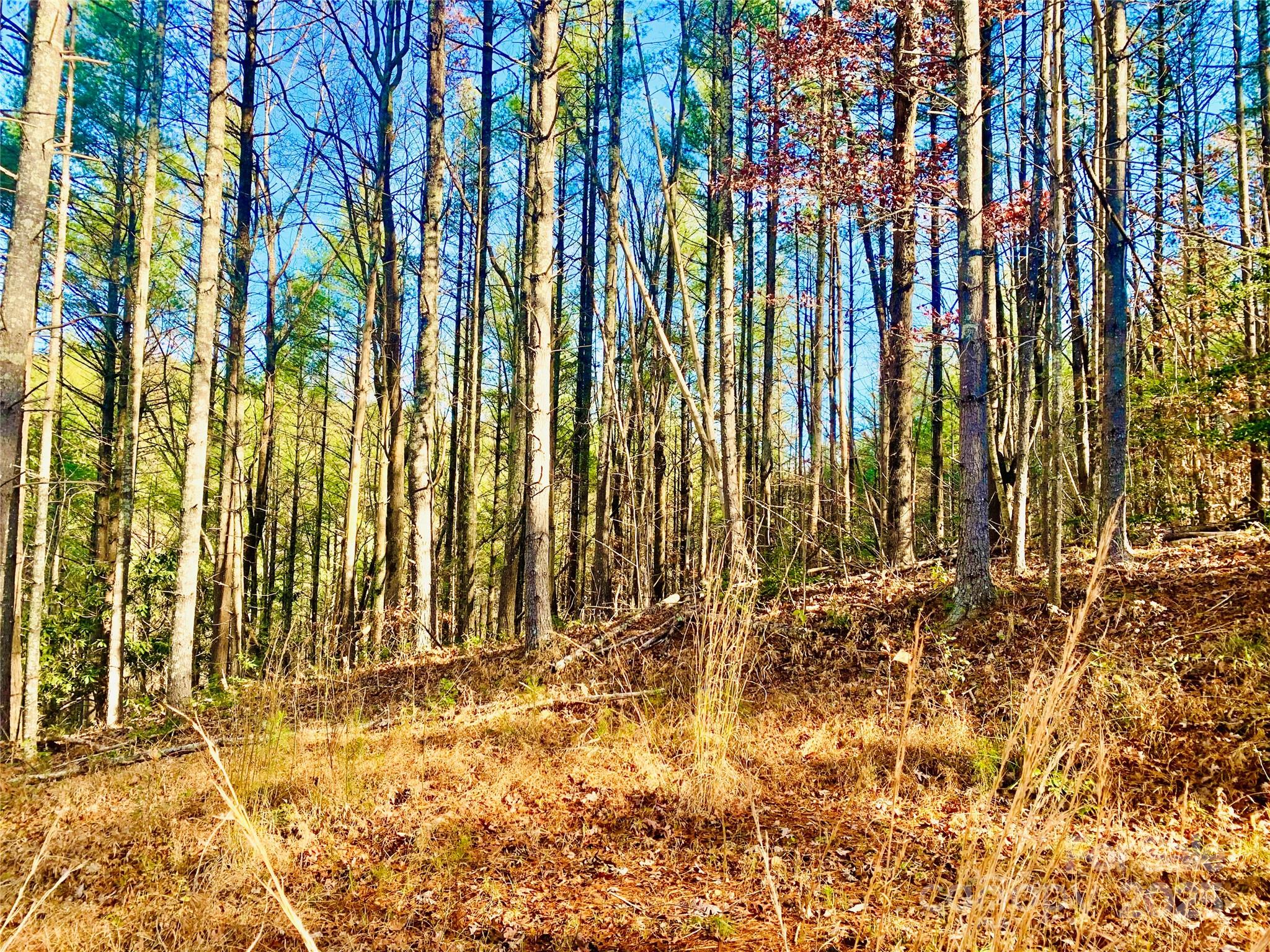 Lot 377 Table View Lane Lot 377 Property Photo 10