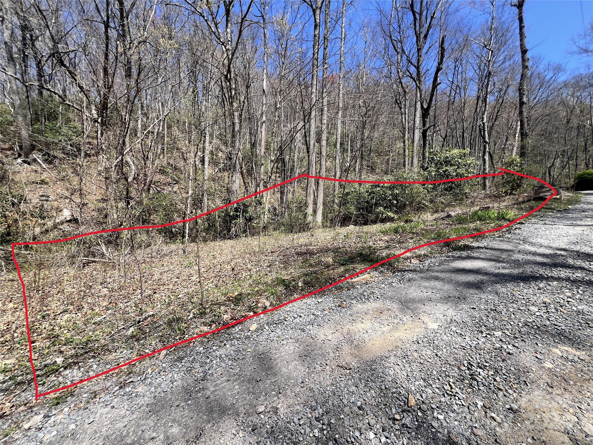 000 Pisgah Mountain Road Property Photo 1