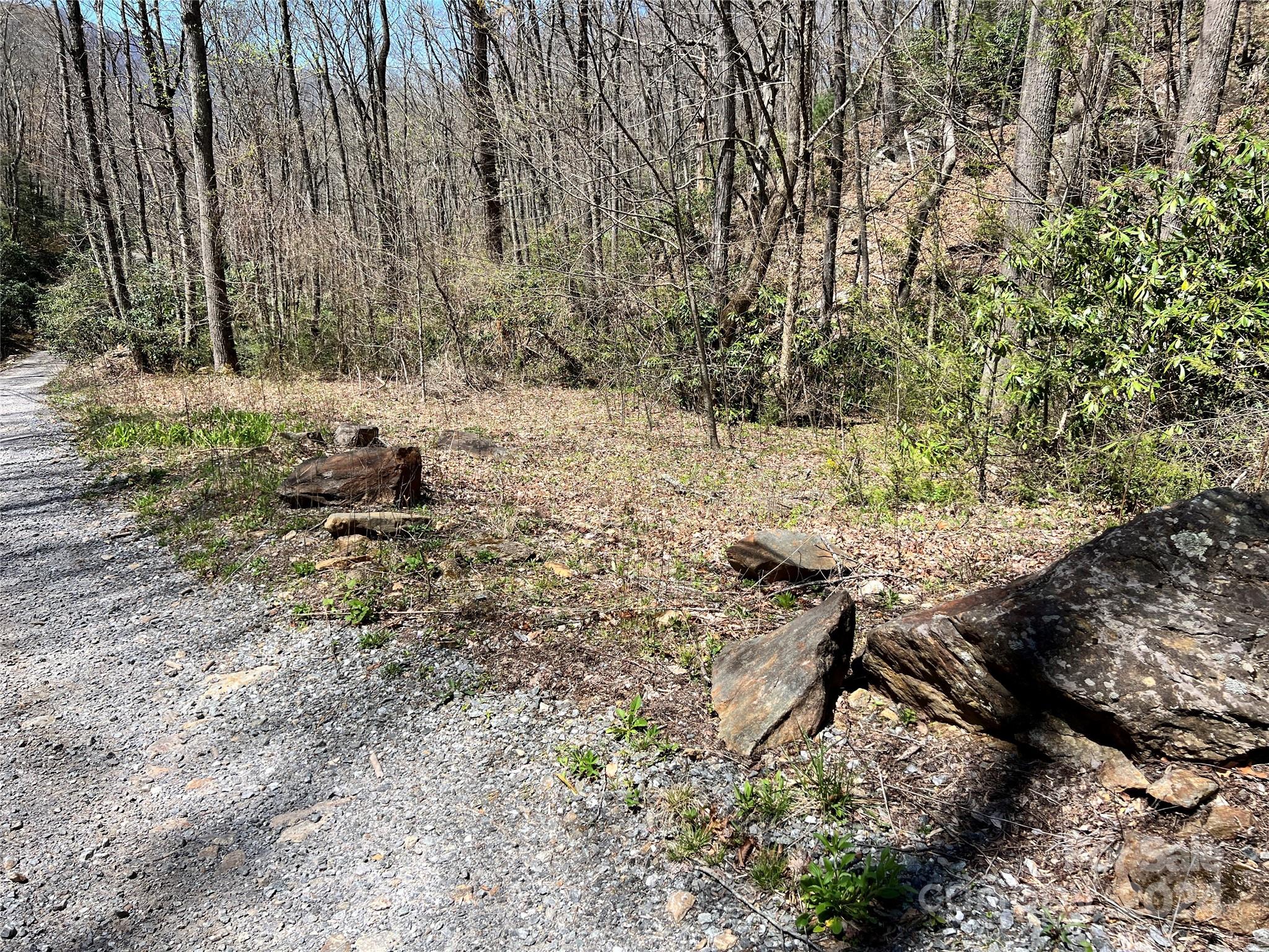 000 Pisgah Mountain Road Property Photo 3