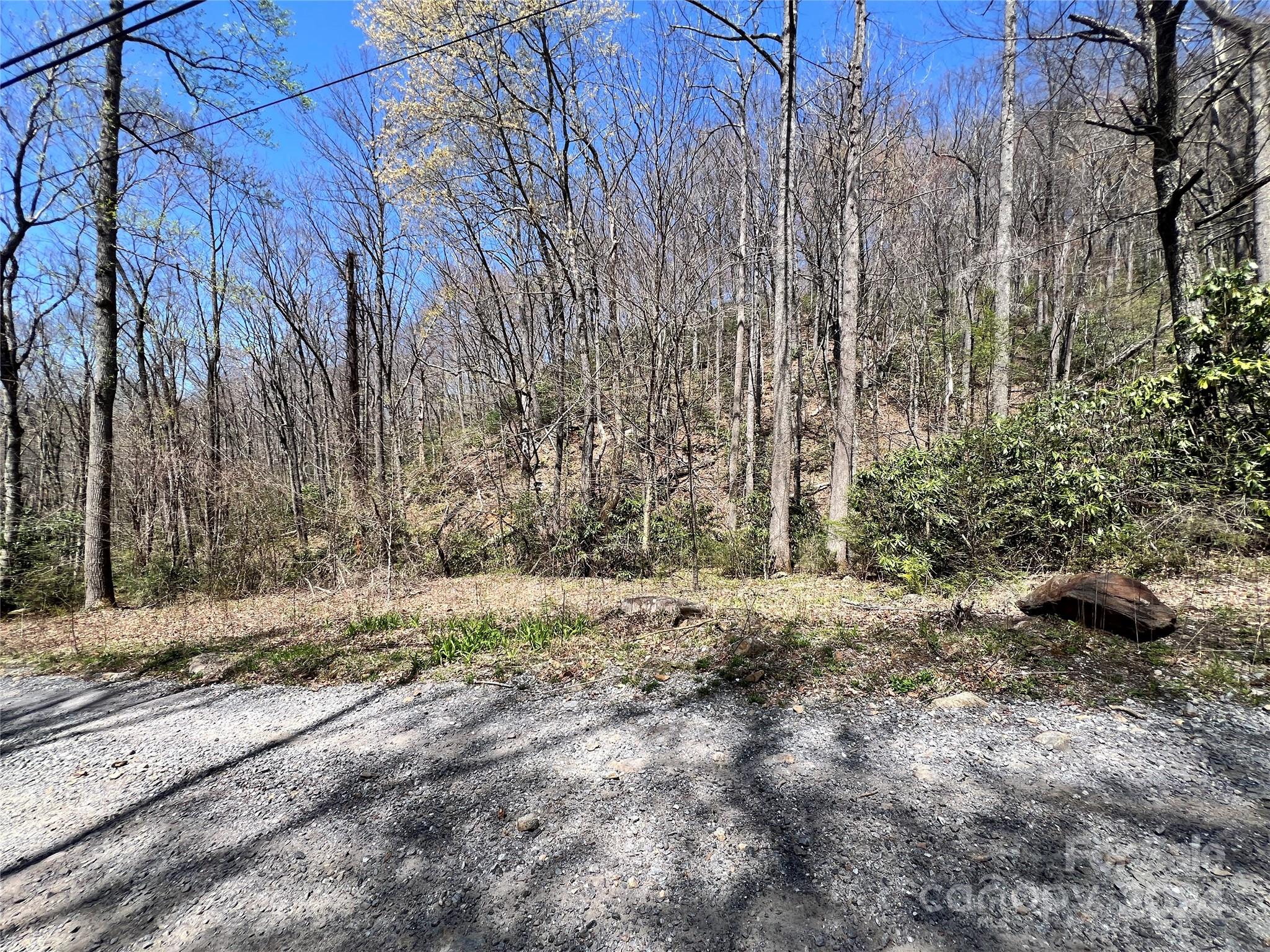 000 Pisgah Mountain Road Property Photo 4