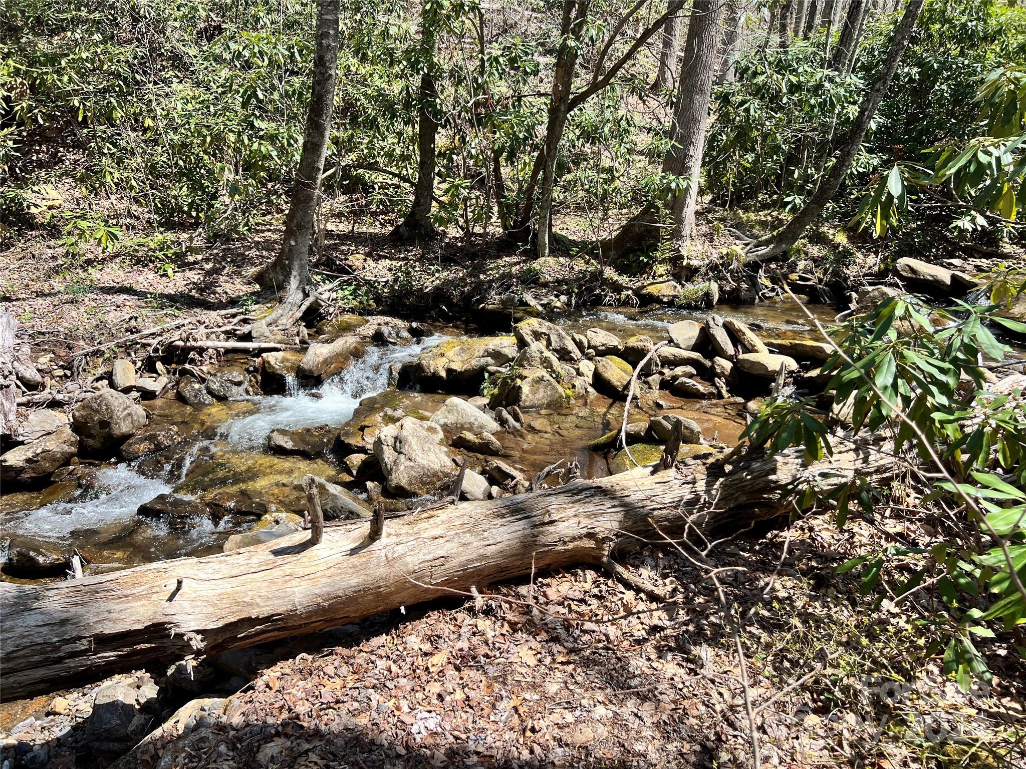 000 Pisgah Mountain Road Property Photo 5