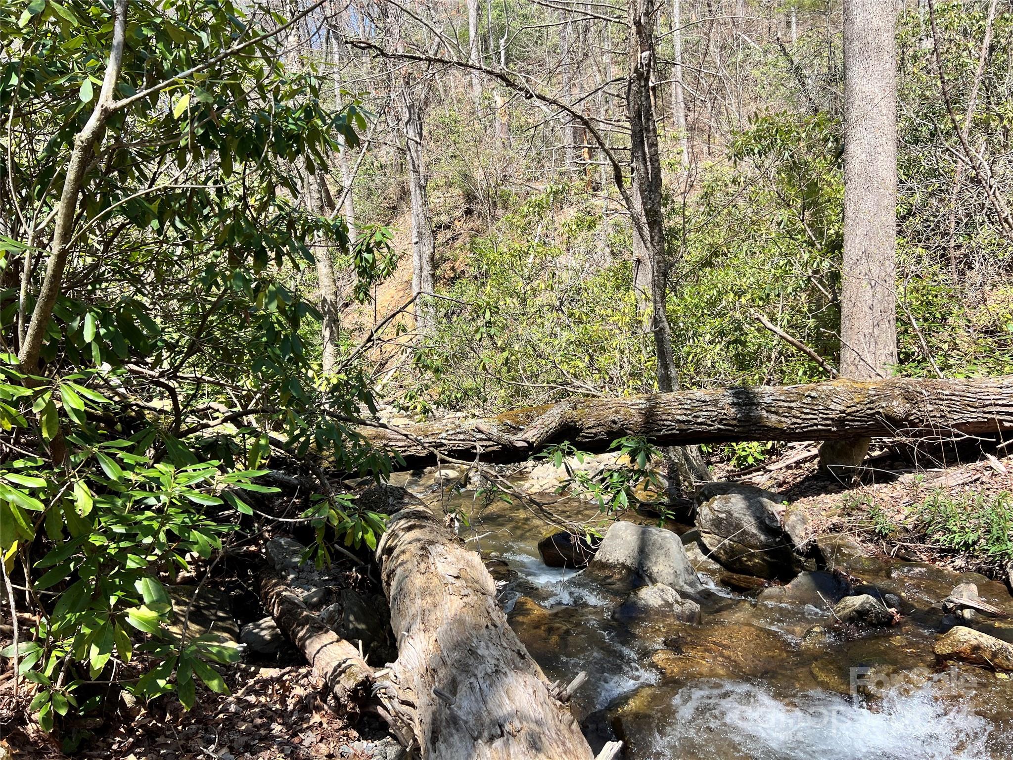 000 Pisgah Mountain Road Property Photo 6