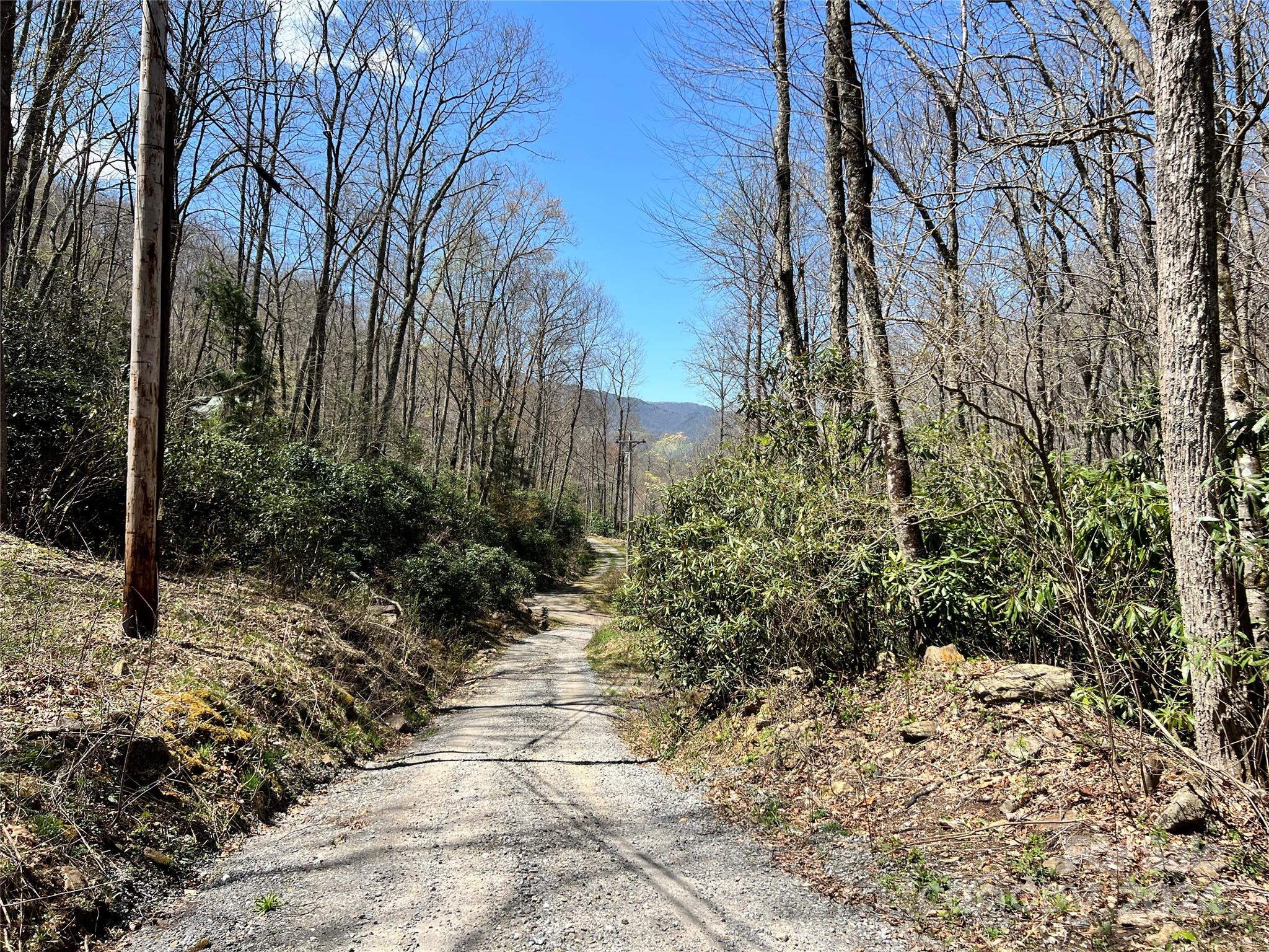 000 Pisgah Mountain Road Property Photo 7