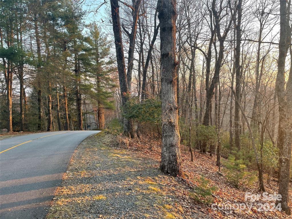 Tbd Connestee Trail Property Photo 2