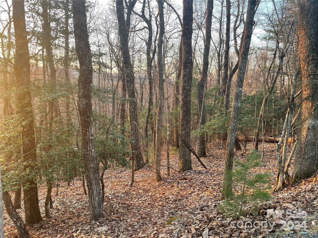 Tbd Connestee Trail Property Photo 3