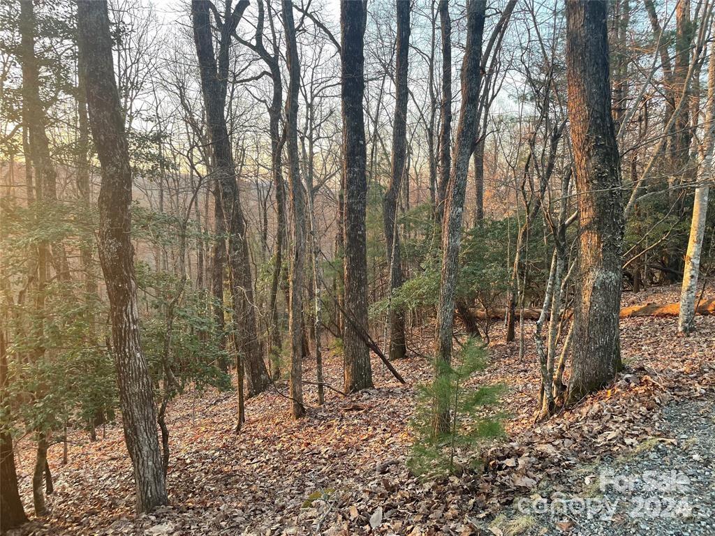 Tbd Connestee Trail Property Photo 5