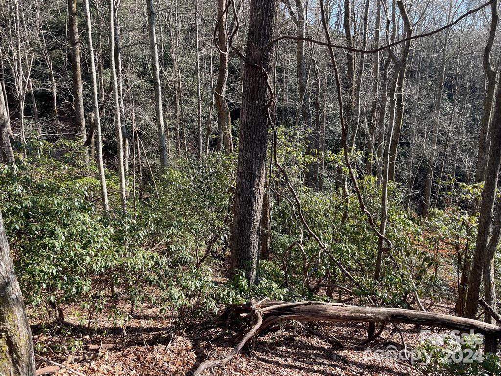 Tbd Tsuganawvi Court Property Photo 6