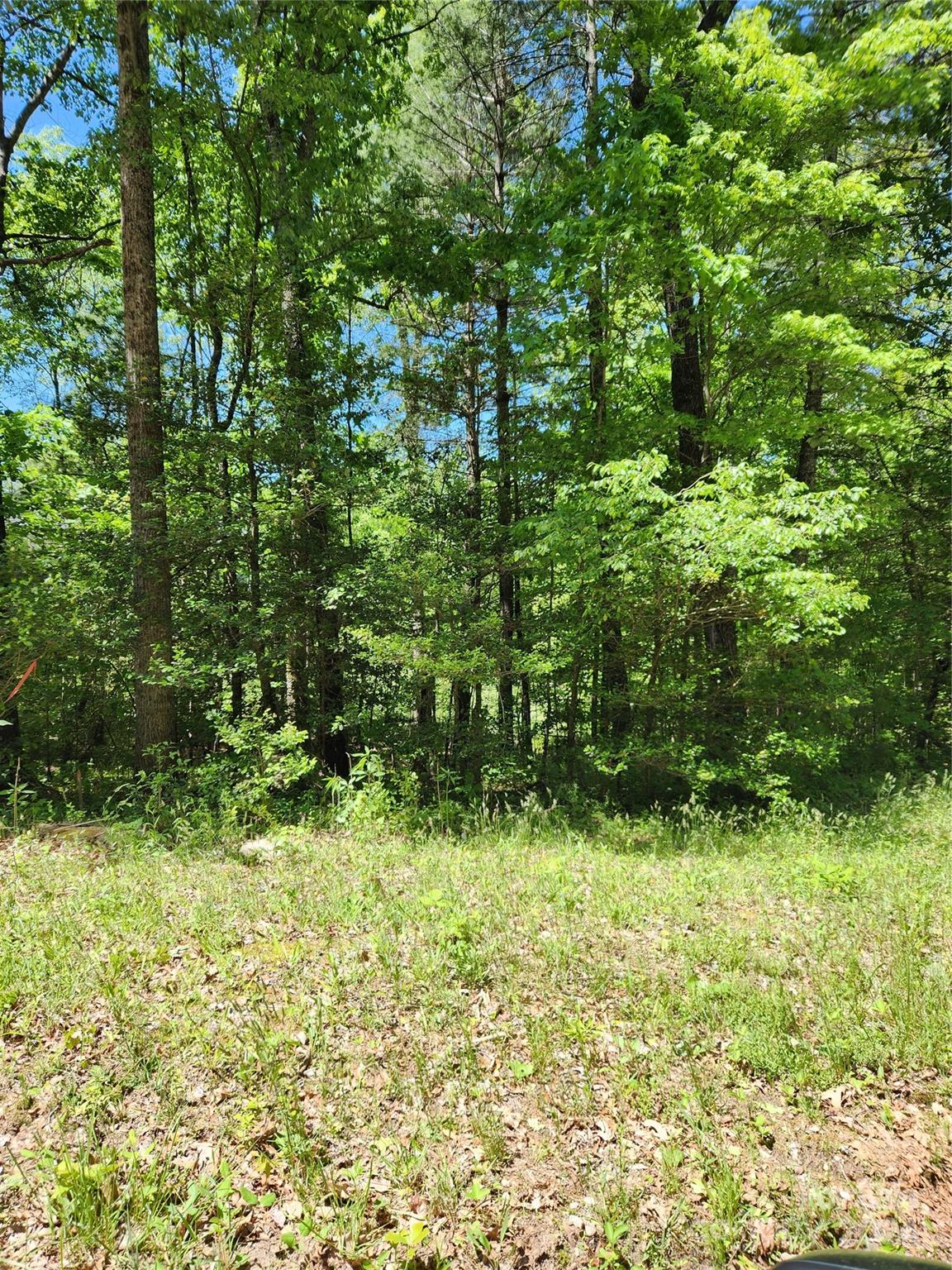 9 Tadpole Lane Property Photo 1