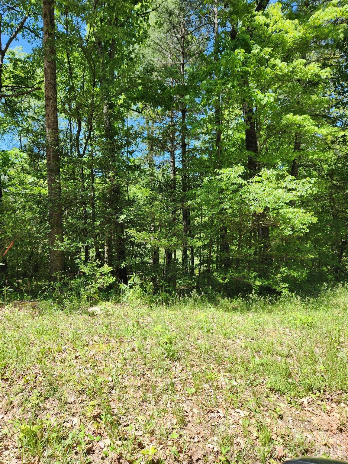 9 Tadpole Lane Property Photo 1