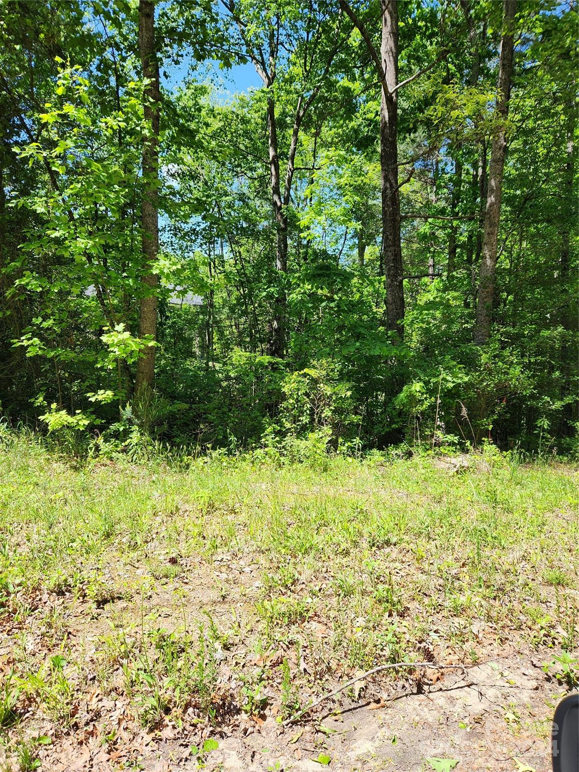 9 Tadpole Lane Property Photo 2