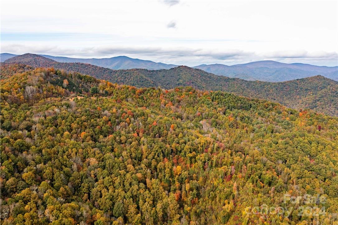 1375 Swing Road Property Photo 7