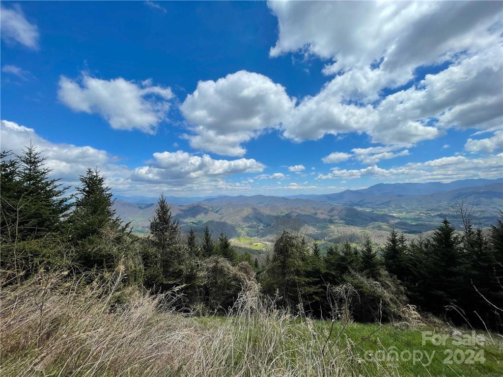 1375 Swing Road Property Photo 19