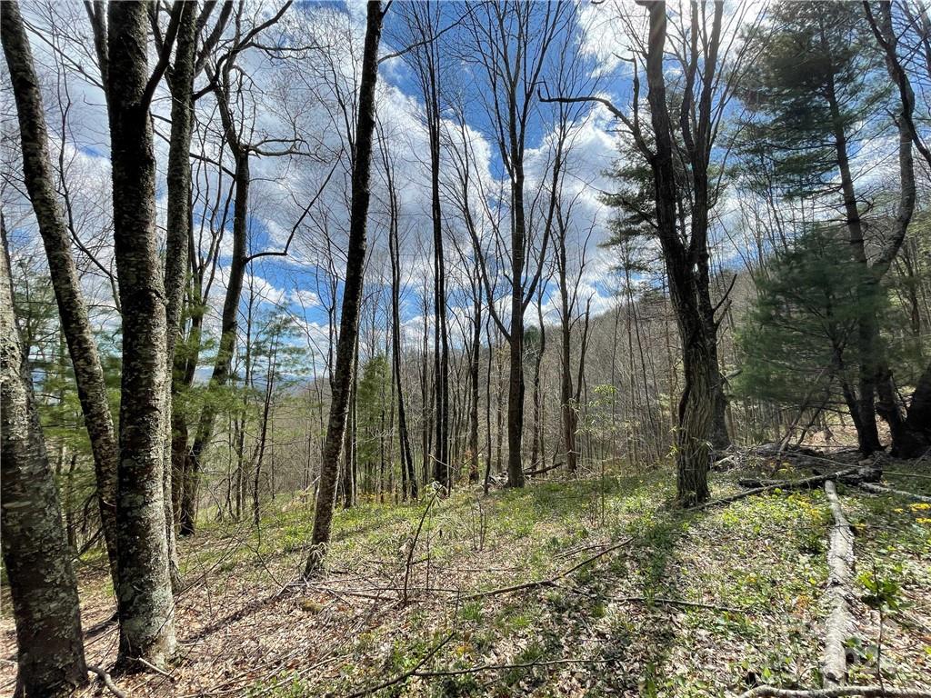 1375 Swing Road Property Photo 41