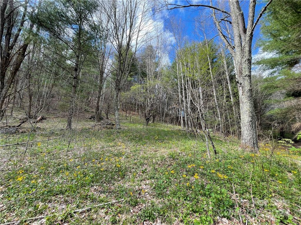1375 Swing Road Property Photo 42