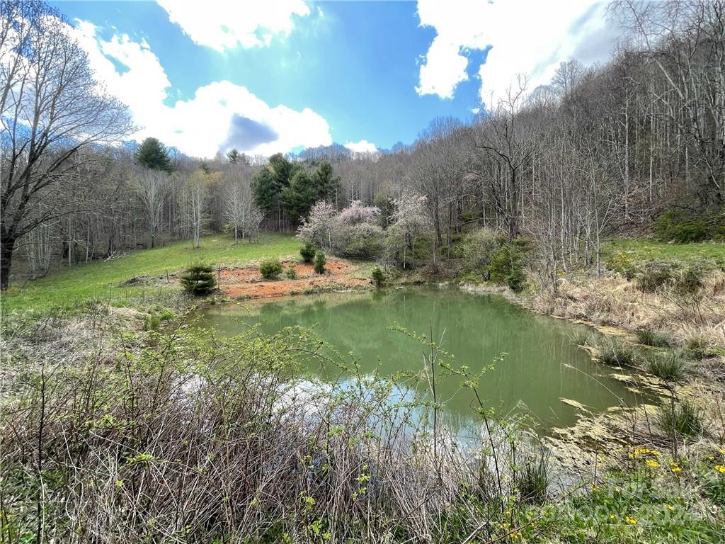 1375 Swing Road Property Photo 43