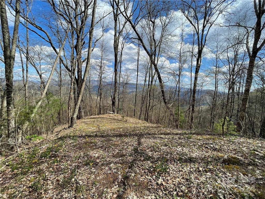 1375 Swing Road Property Photo 45