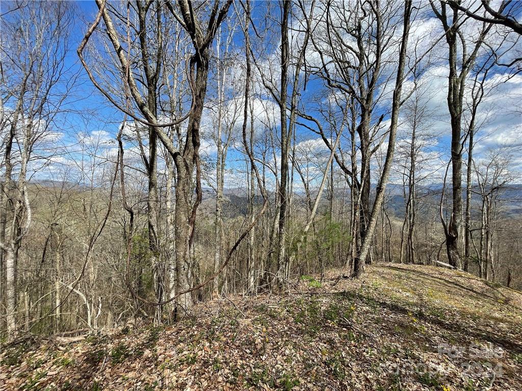 1375 Swing Road Property Photo 46