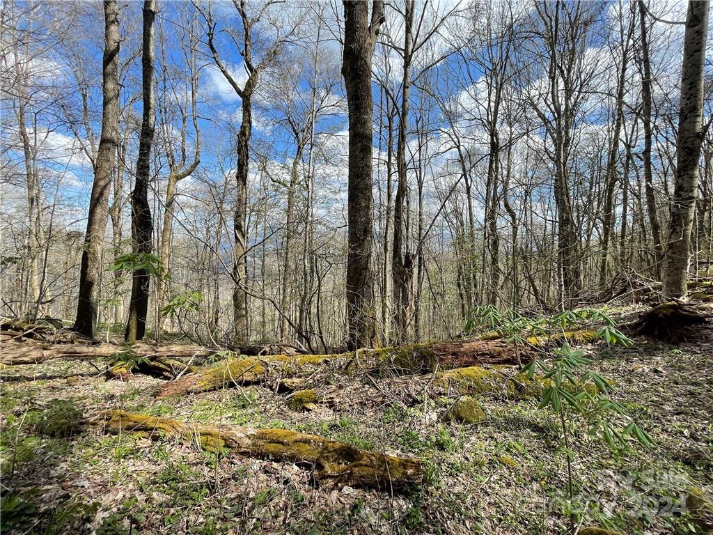 1375 Swing Road Property Photo 48