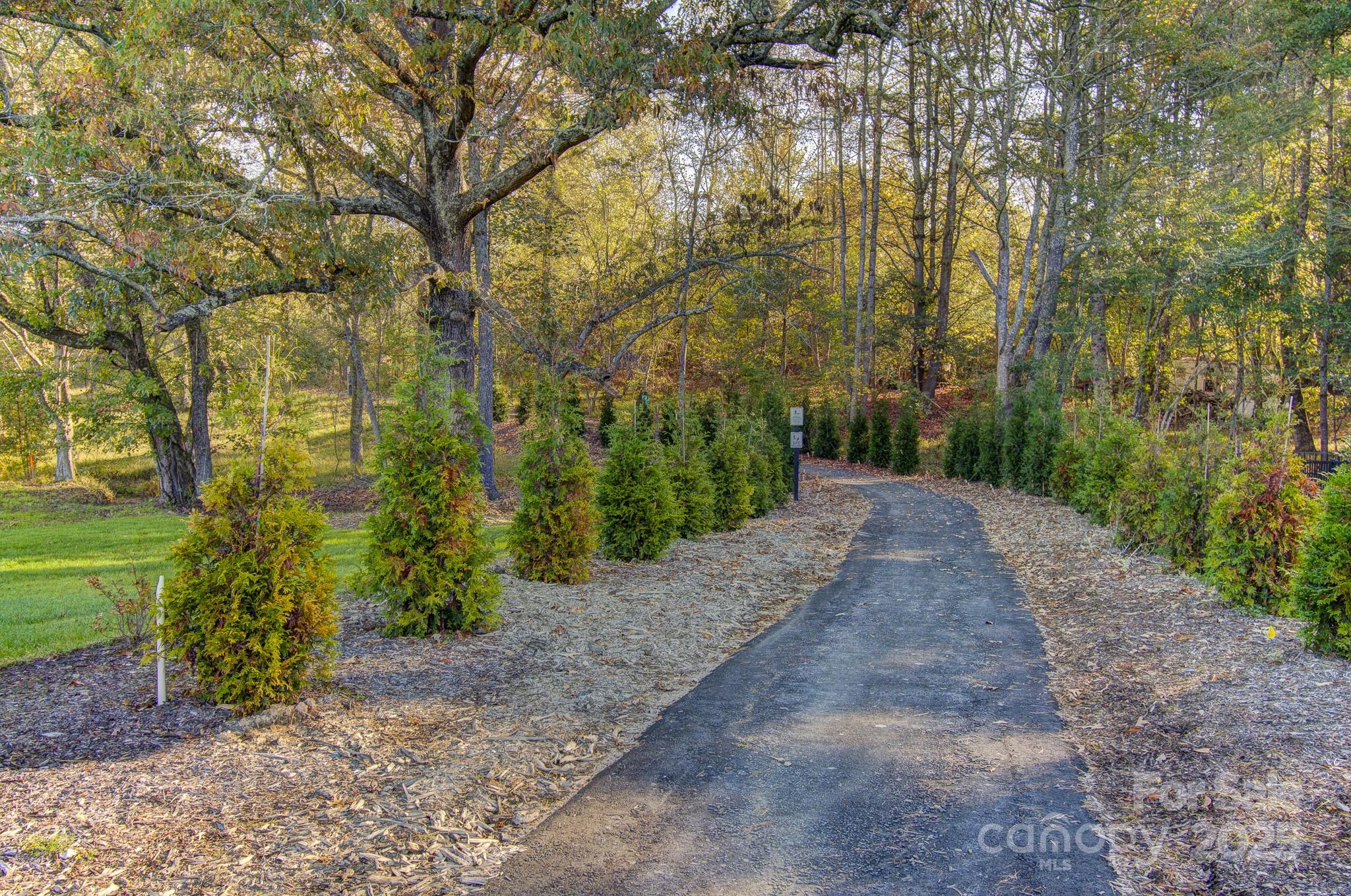 17 Skylar Lane Property Photo 36