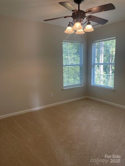 137 Kilborne Road Property Photo 25