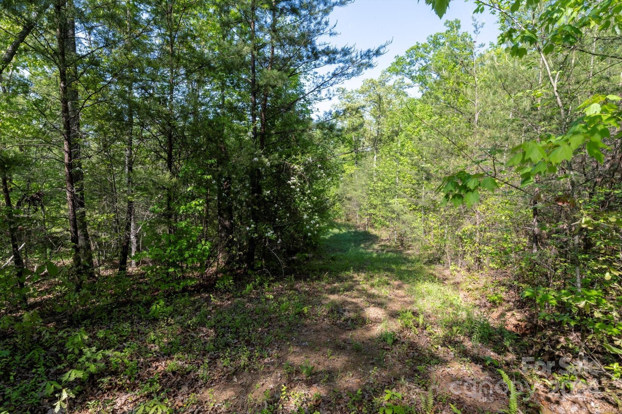 99999 Shady Bark Lane 41 Property Photo 11