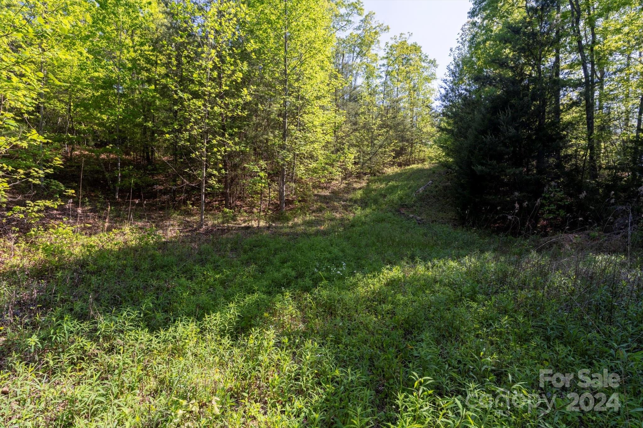 99999 Shady Bark Lane 41 Property Photo 12