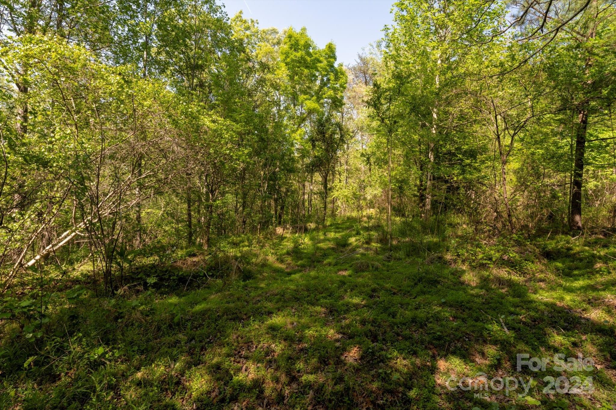 99999 Shady Bark Lane 41 Property Photo 13