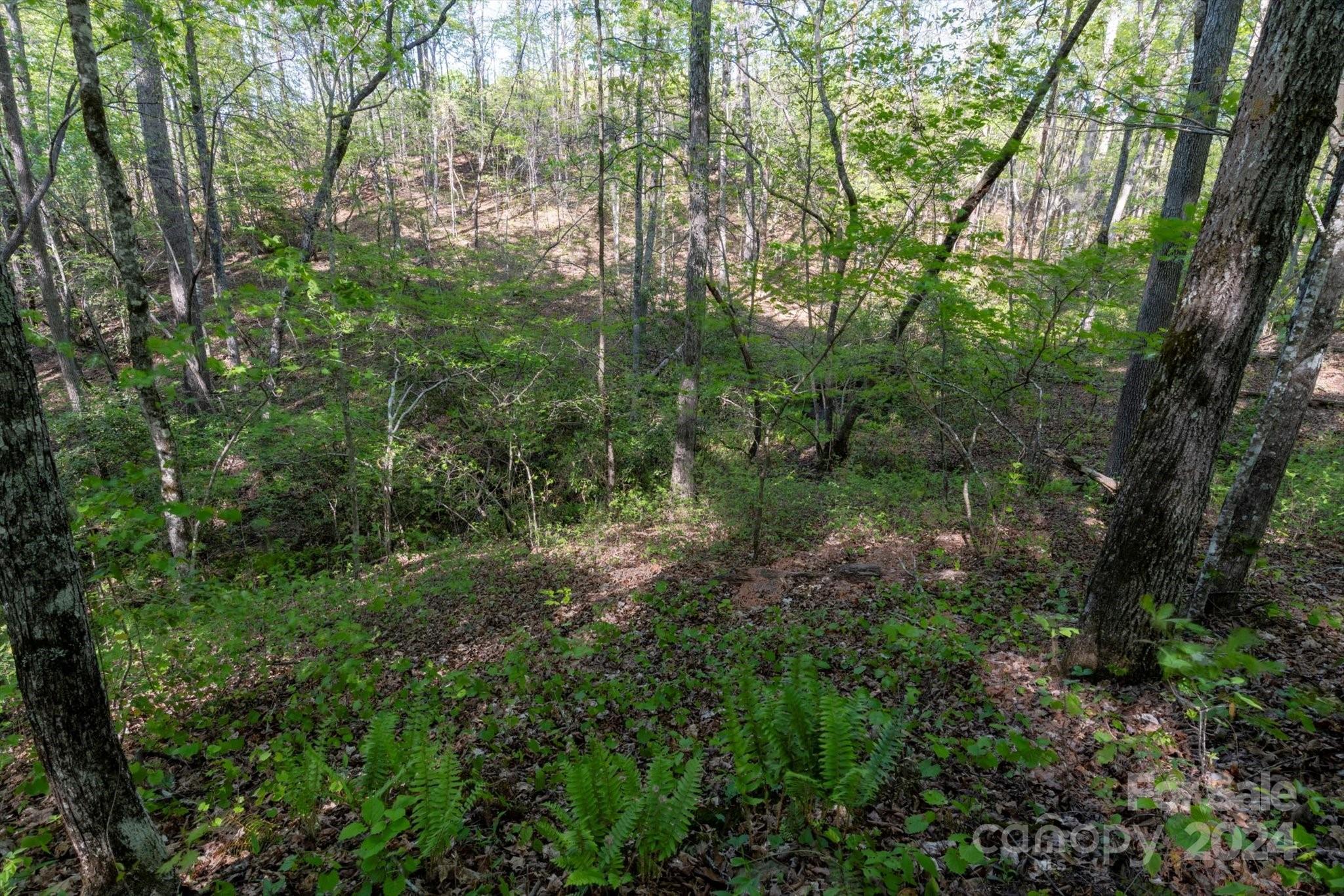 99999 Shady Bark Lane 41 Property Photo 14