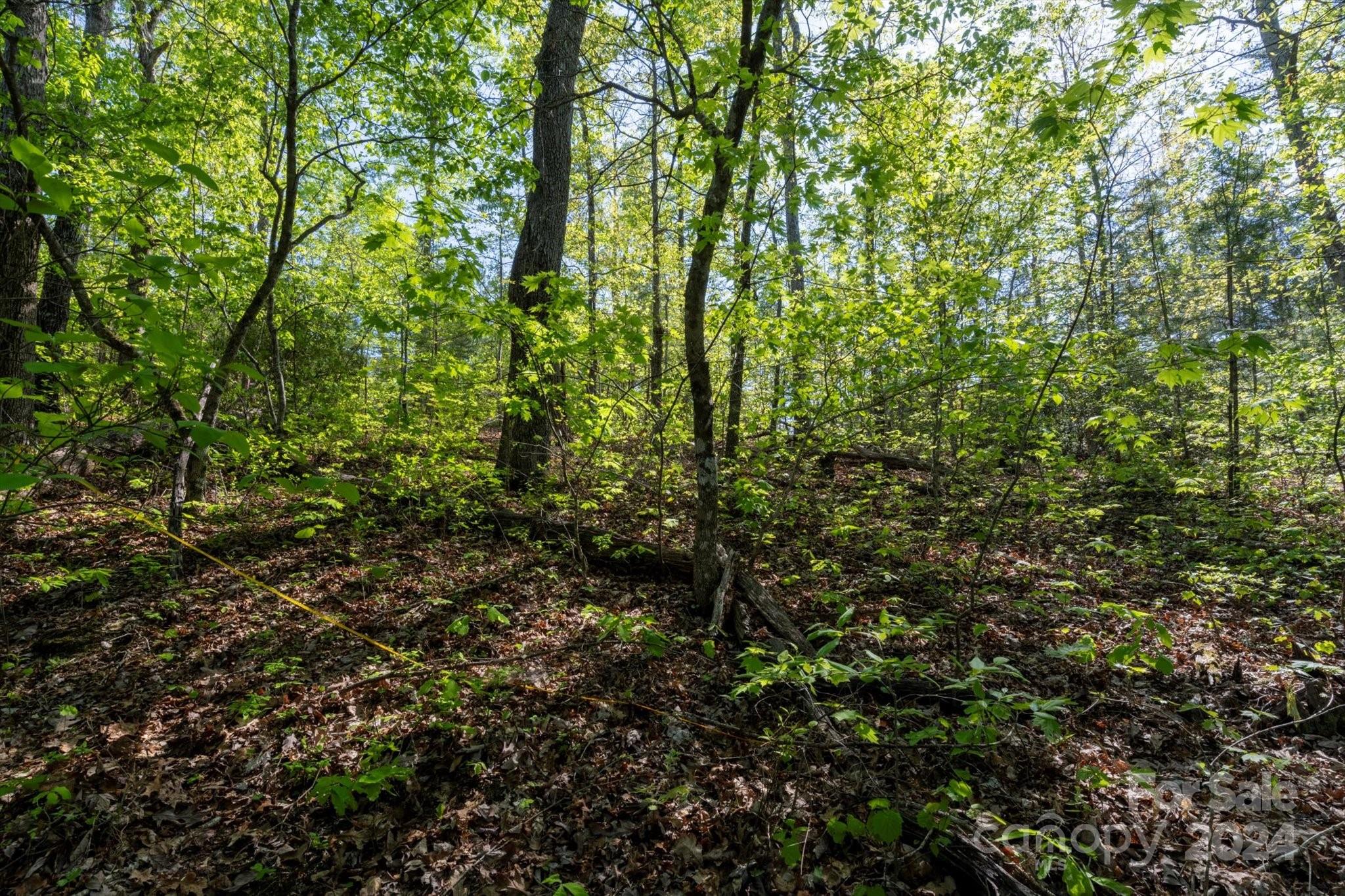 99999 Shady Bark Lane 41 Property Photo 15