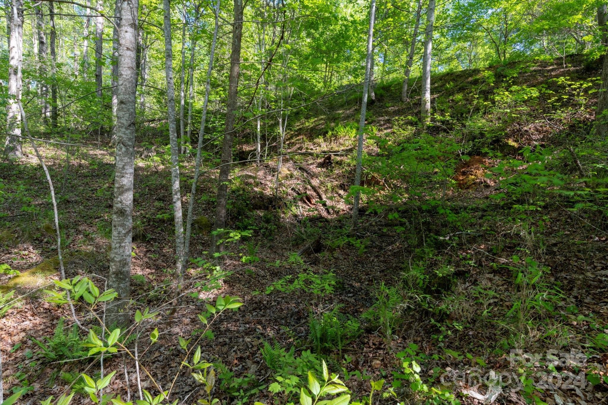 99999 Shady Bark Lane 41 Property Photo 16