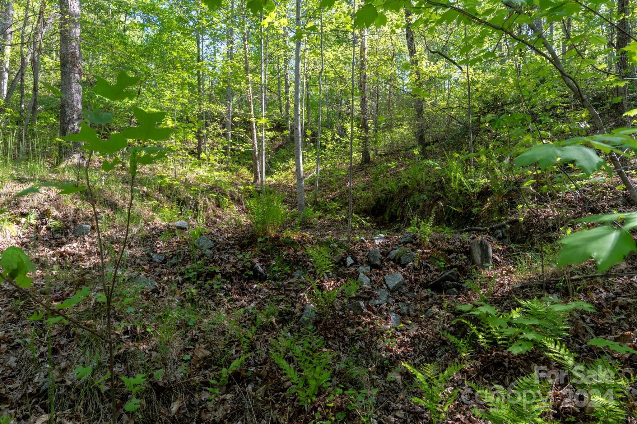 99999 Shady Bark Lane 41 Property Photo 17