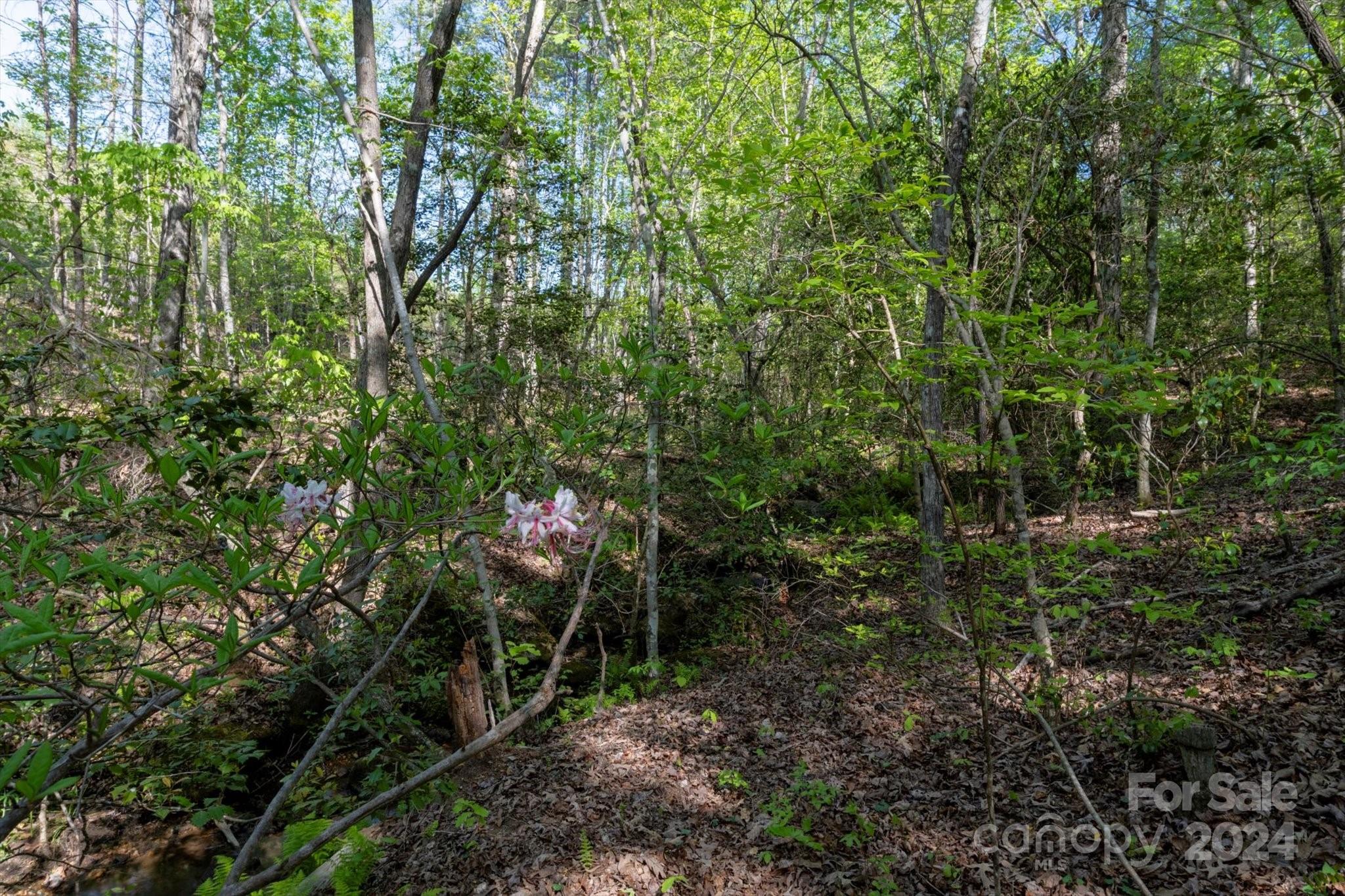 99999 Shady Bark Lane 41 Property Photo 18