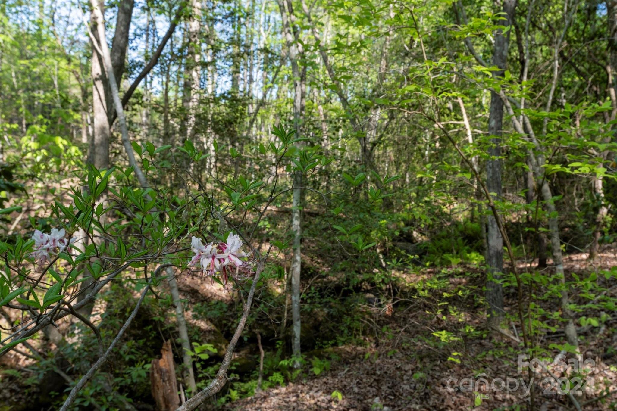 99999 Shady Bark Lane 41 Property Photo 19