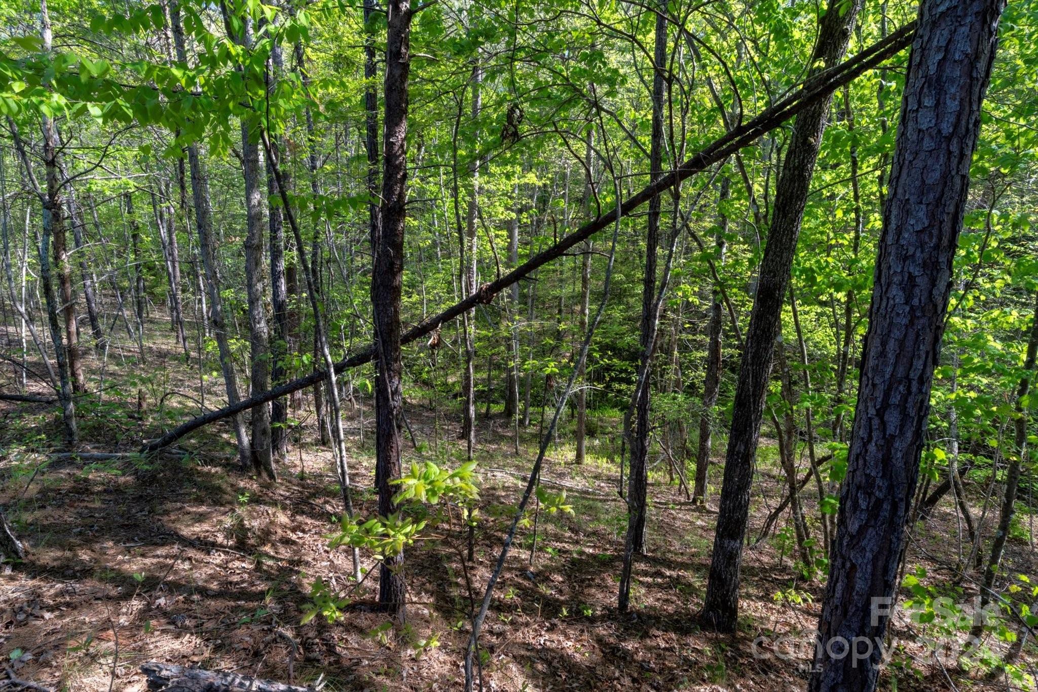 99999 Shady Bark Lane 41 Property Photo 21