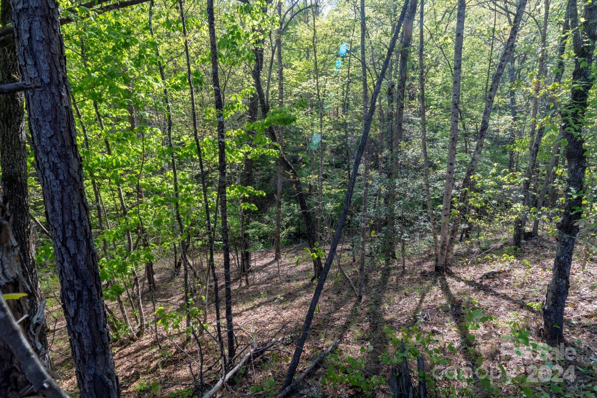 99999 Shady Bark Lane 41 Property Photo 22