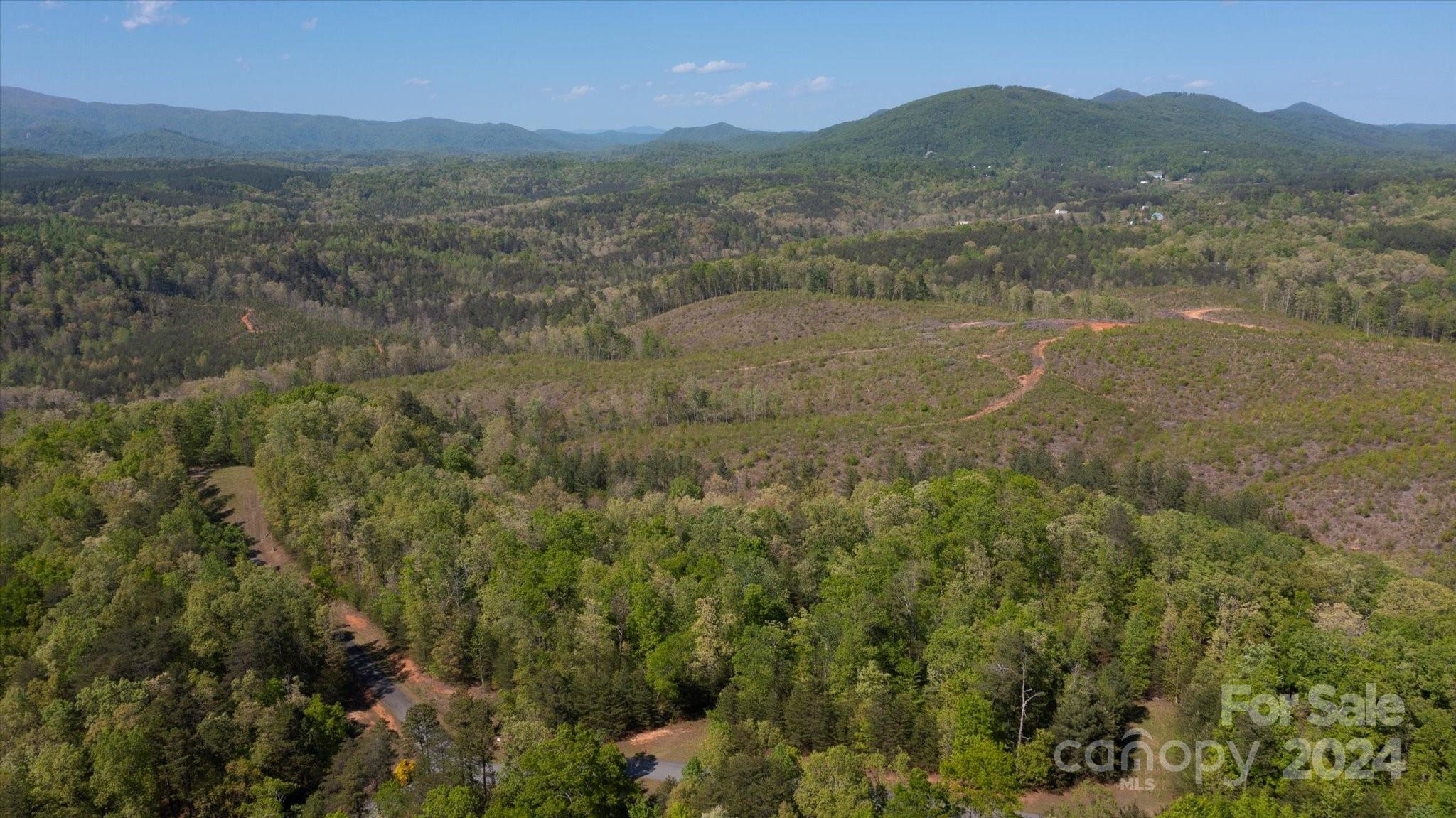 99999 Shady Bark Lane 41 Property Photo 25