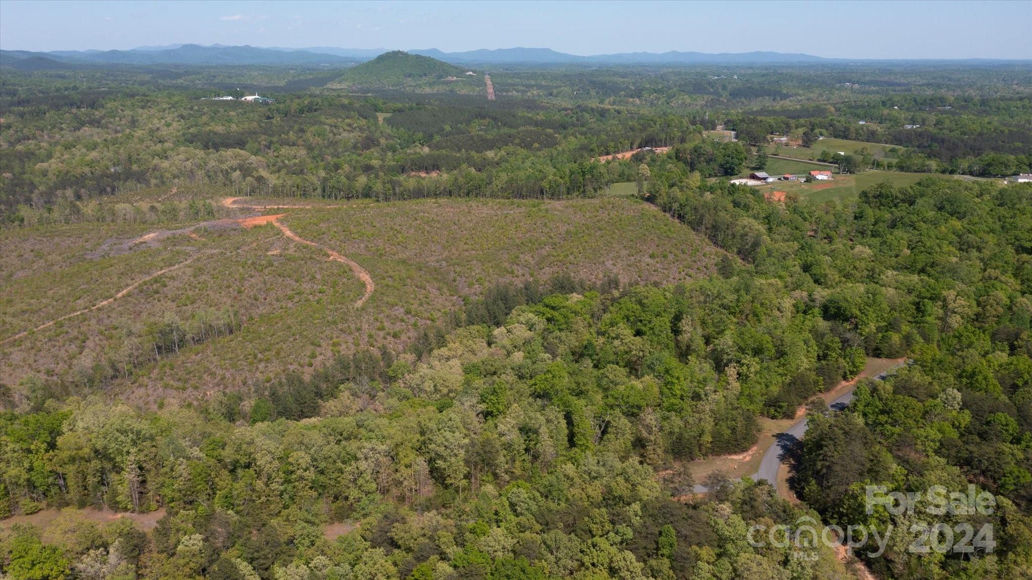 99999 Shady Bark Lane 41 Property Photo 29