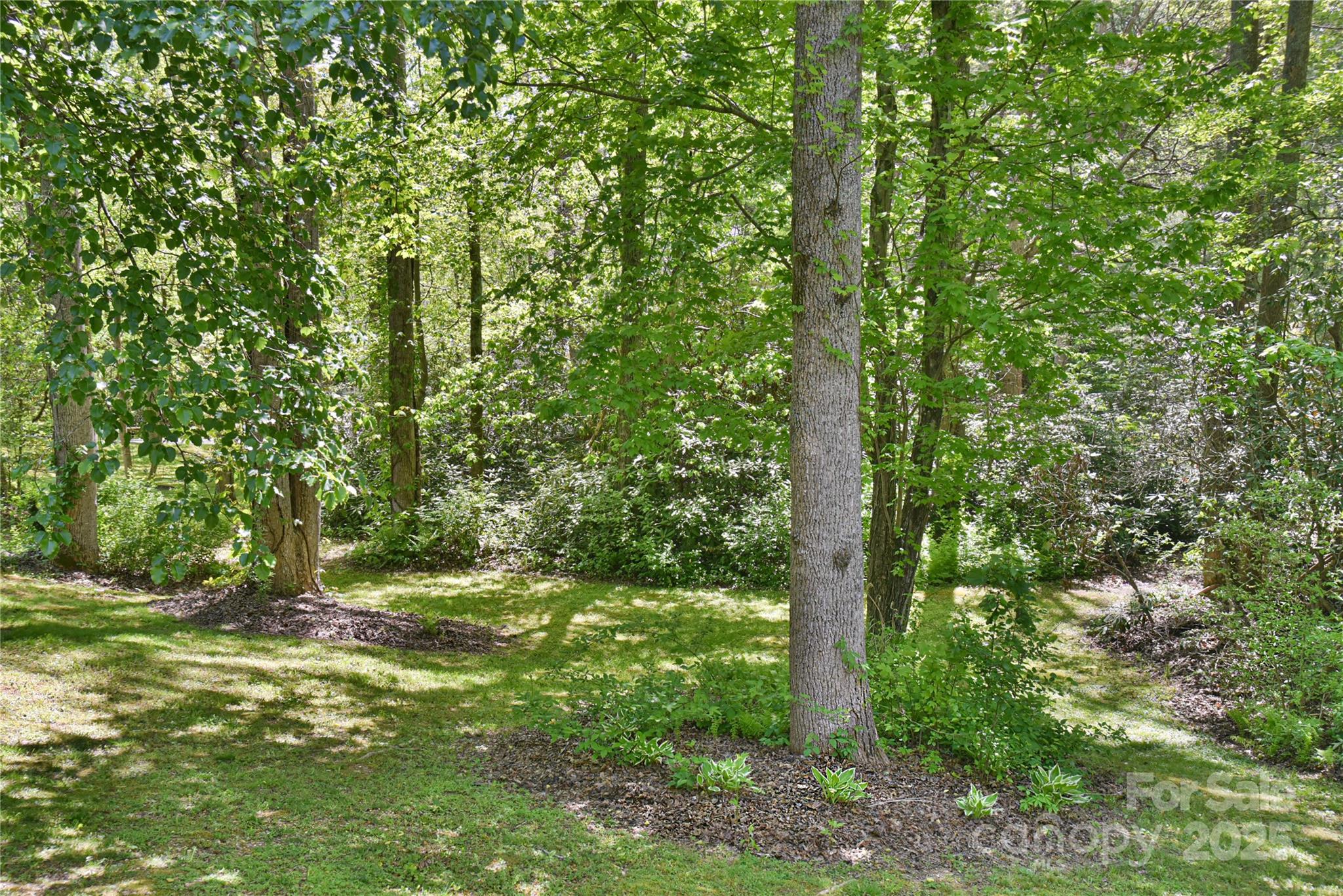 145 Fox Glen Drive Property Photo 6