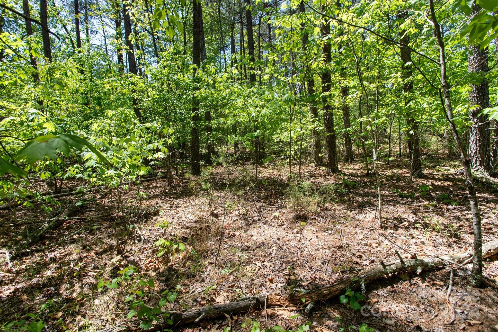 99999 Hickory Loop 2 Property Photo 3