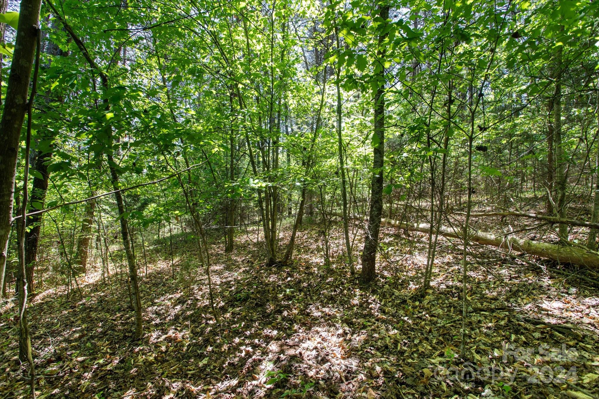 99999 Hickory Loop 2 Property Photo 7
