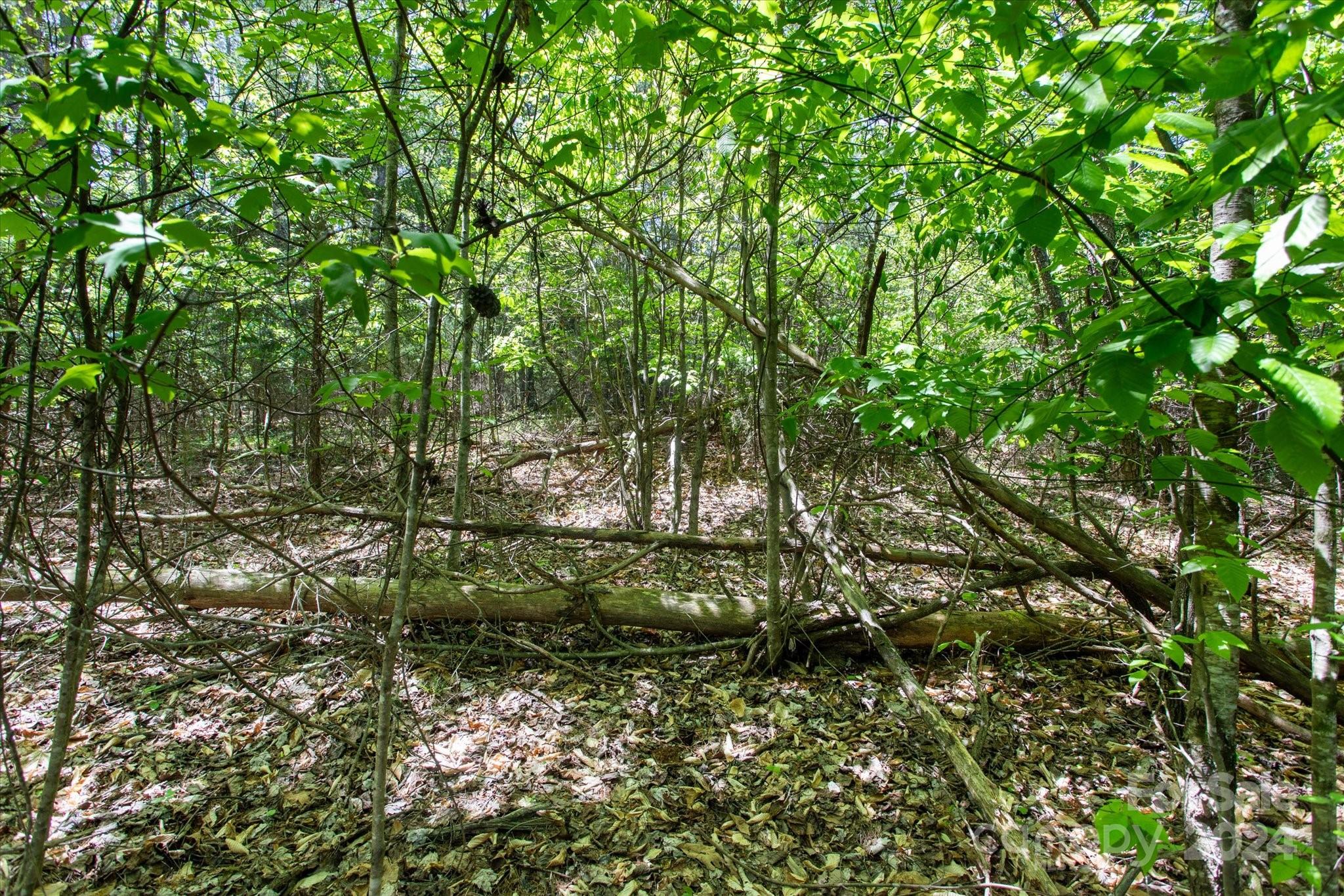 99999 Hickory Loop 2 Property Photo 8