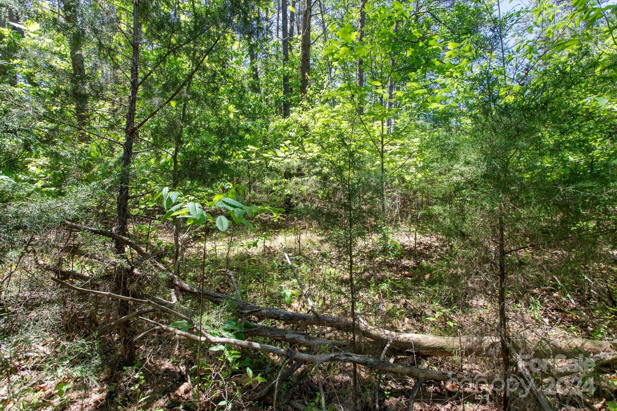 99999 Hickory Loop 2 Property Photo 9