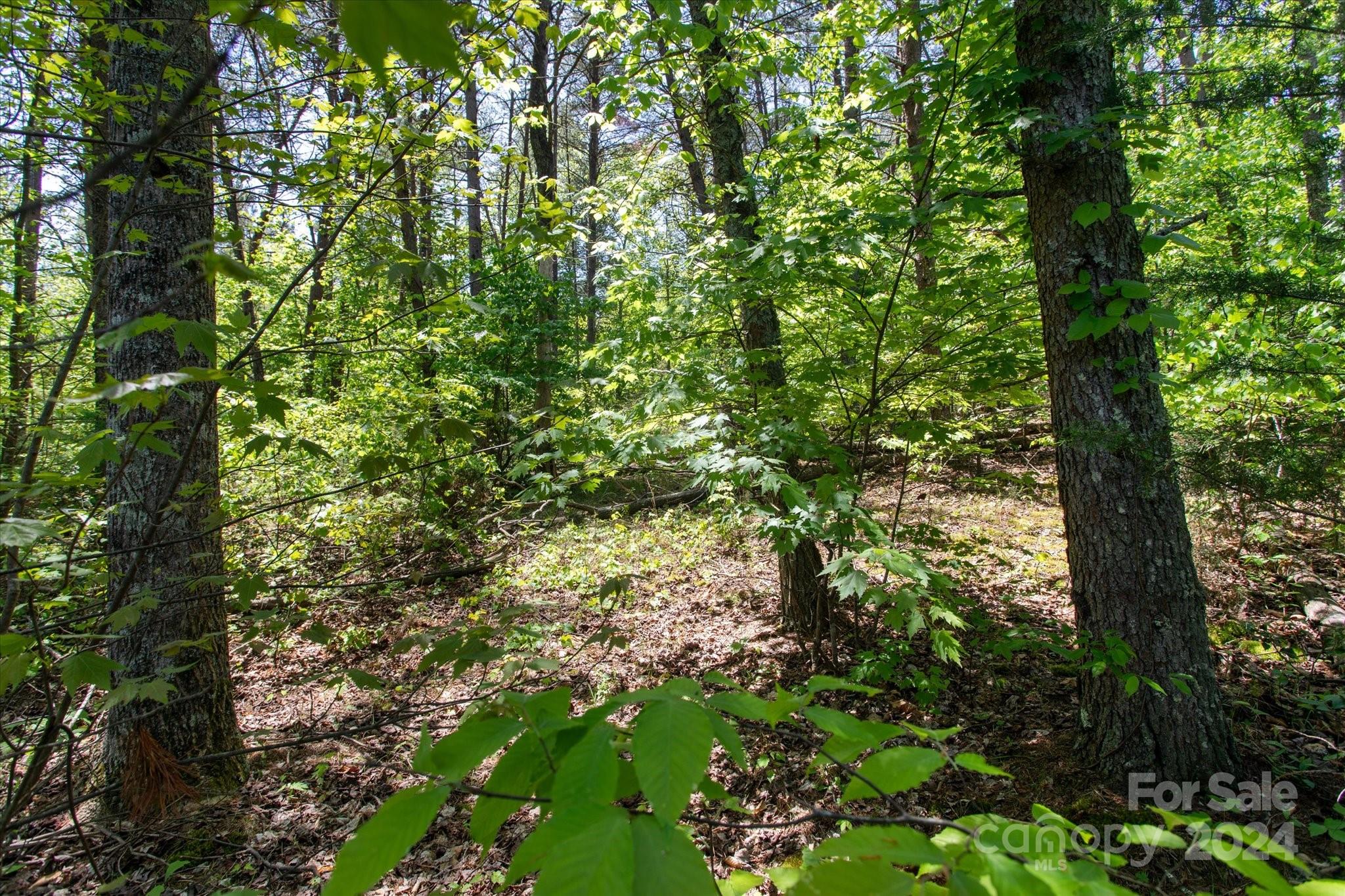 99999 Hickory Loop 2 Property Photo 10
