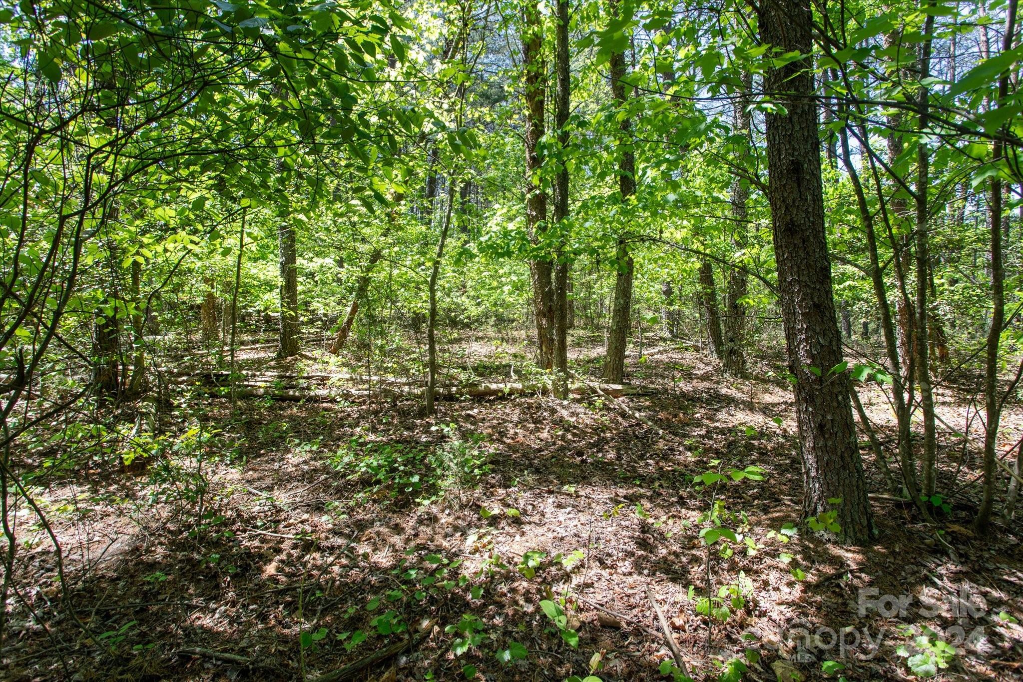 99999 Hickory Loop 2 Property Photo 11