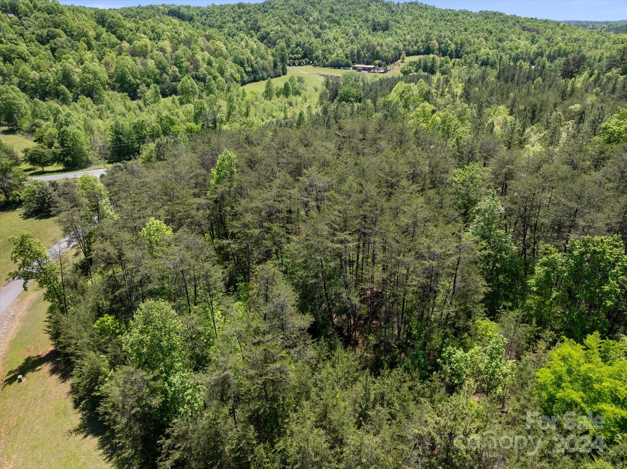 99999 Hickory Loop 2 Property Photo 13