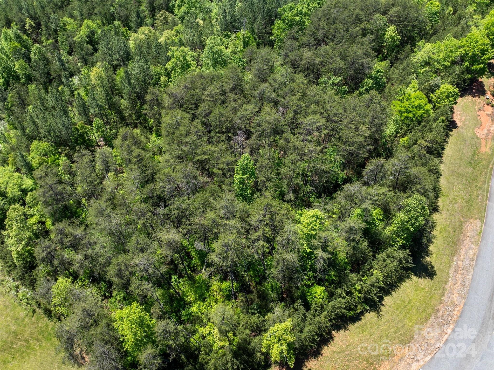 99999 Hickory Loop 2 Property Photo 14