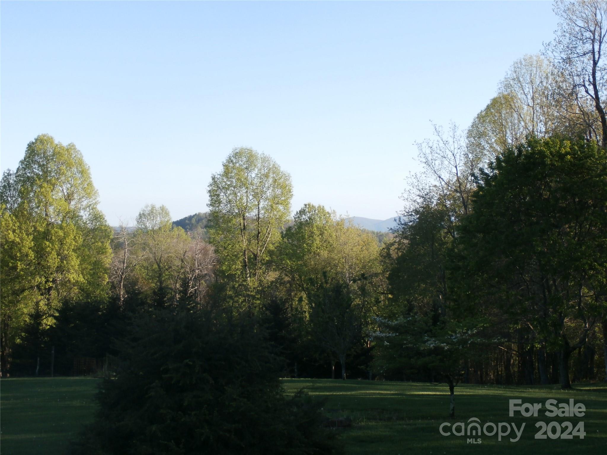 288 Firetower Road Property Photo 19